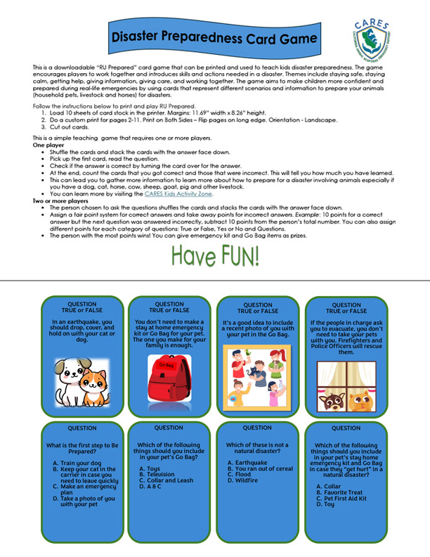 Emergency Preparedness Kids Card Game