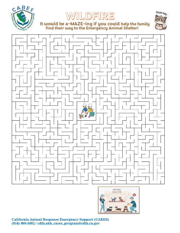 CARES Wildfire Maze