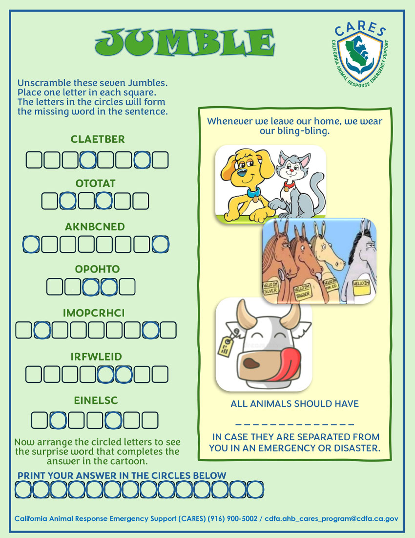 CARES Animal Jumble