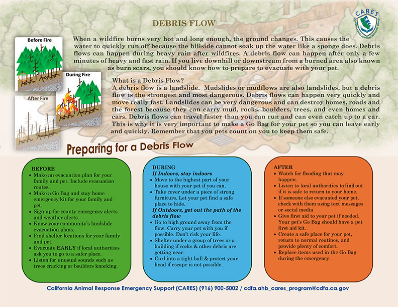 Debris Flow