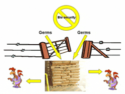 No biosecurity