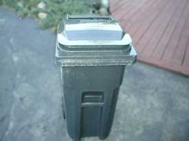 Sanitary container