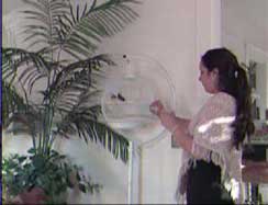 Cleaning a cag