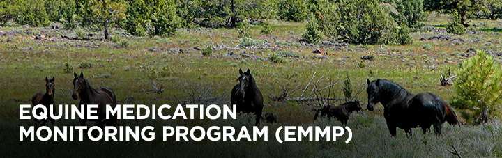 Equine Medication Monitoring Program (EMMP), background: horses in a field