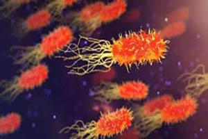 Antimicrobial Resistance