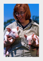 Technician with two piglets