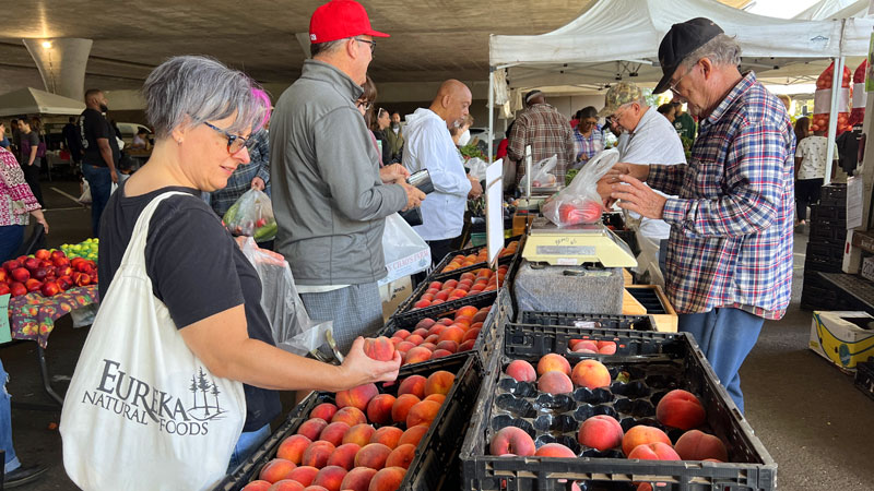 photo: shoppers at a farmers market