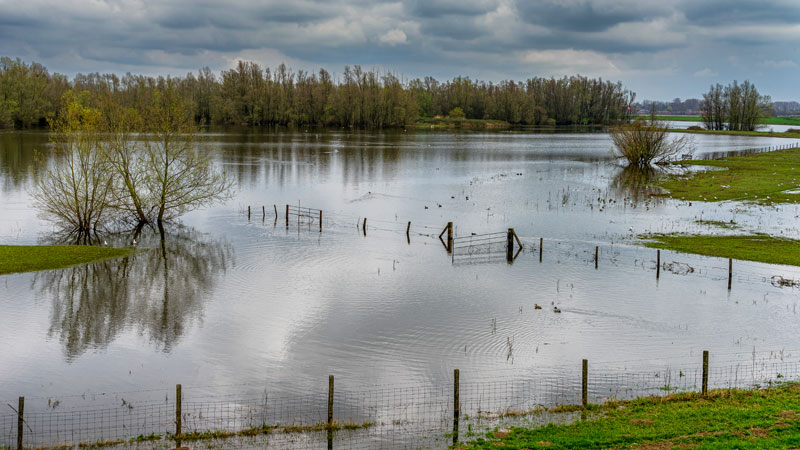 photo: flooded farm