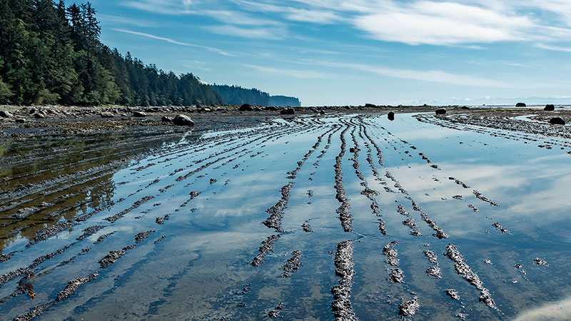 photo: flooded fields