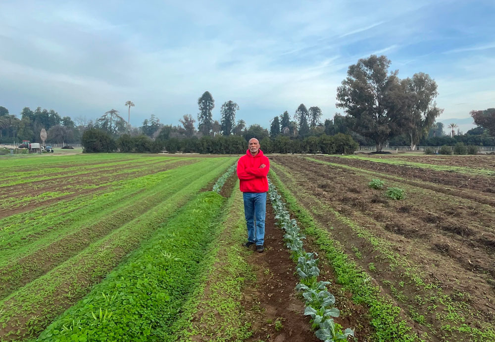 photo: man standing between rows of leafy crops