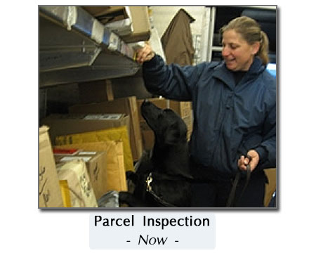 new box inspection