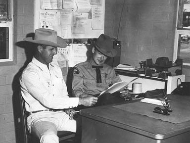 old cattle inspection