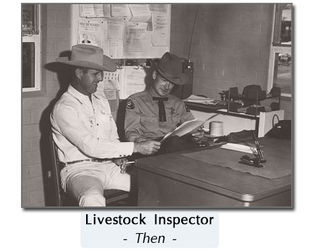 old cattle inspection