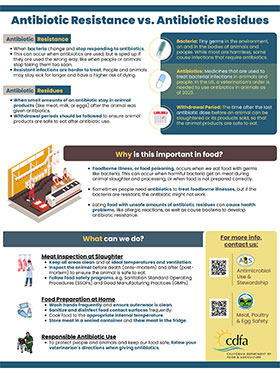 CDFA Flyer Antibiotic Resistance Vs Antibiotic Residues thumbnail