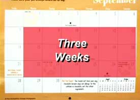 Calendar showing three weeks