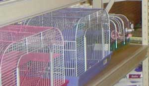 Check when purchasing for an easy to clean cage