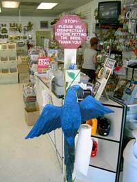 Bird on a perch greeting customers