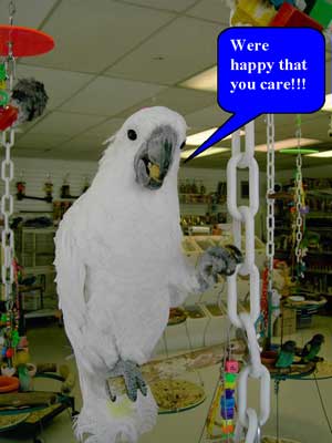 Cockatoo with a sign, We're happy that you care!!!