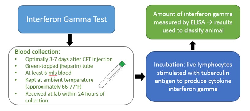 Gamma test info image