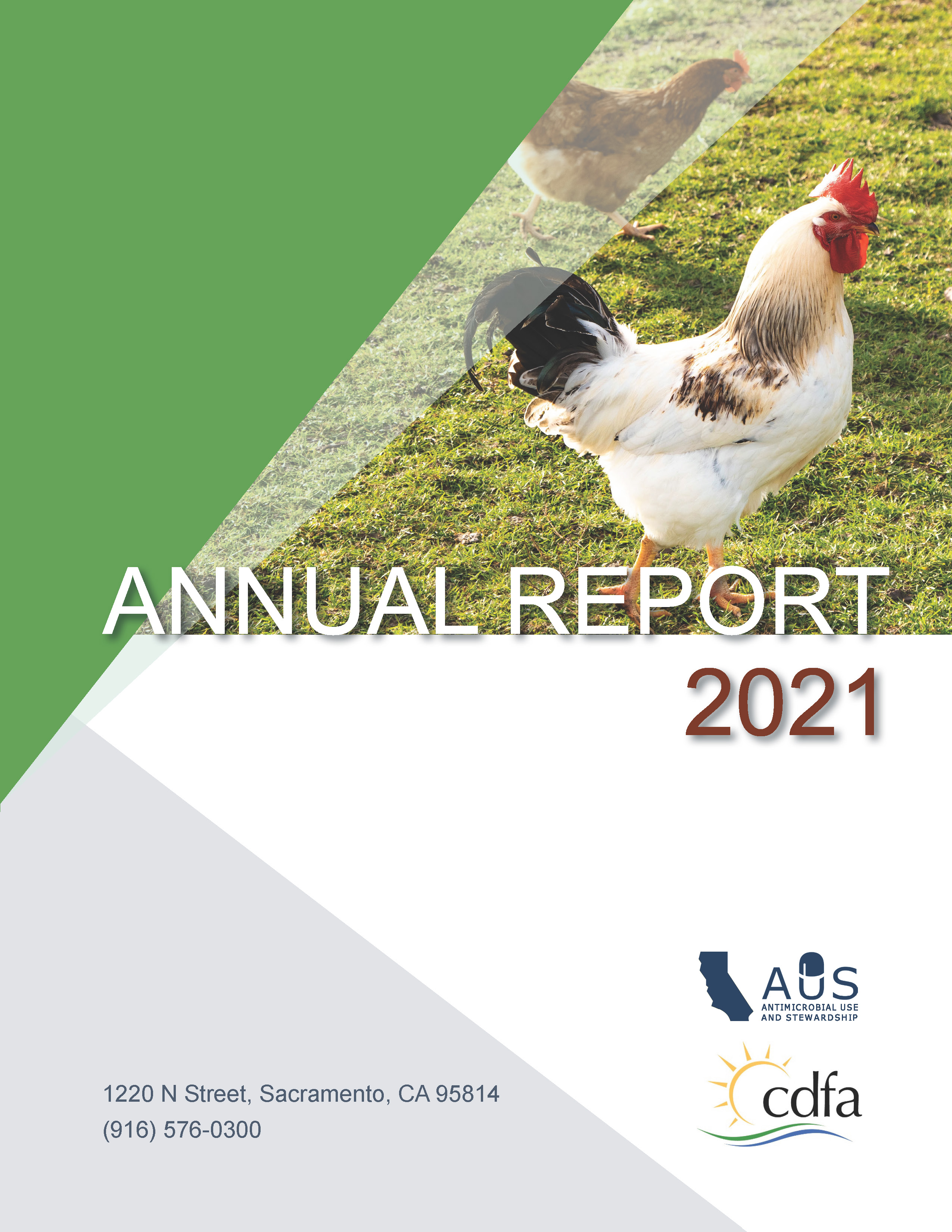 Annual Summary Report Veterinary Feed Directives 2021