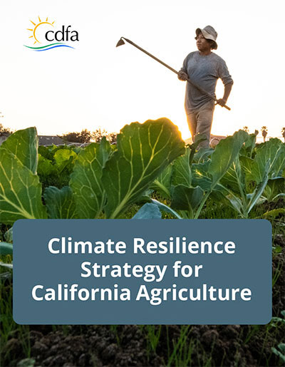 Report cover: Climate Resilience Strategy for California Agriculture