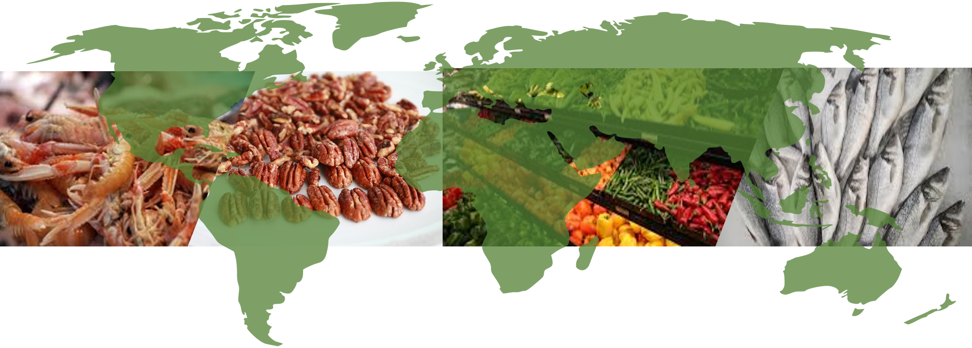 Country of Origin banner with seafood, nuts, and produce