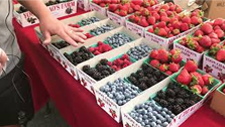 Video - Yoon Chao's Farms – Marysville, California