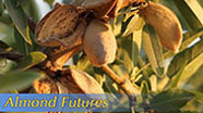 Video thumbnail for Growing California video series: Almond Futures
