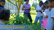 Video thumbnail for Growing California video series: Urban Farmer