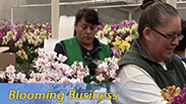 Video thumbnail for Growing California video series: Blooming Business