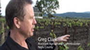 Video thumbnail for Control of European Grapevine Moth in California
