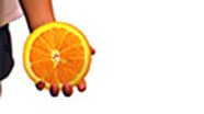 Video thumbnail for Excluding A Bad Citrus Pest From California