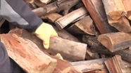 Video thumbnail for Forest Pathologist M. MacKenzie: Danger from Invasive Pests in Firewood