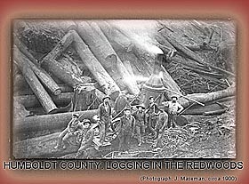 Humboldt County:Logging in the Redwoods 