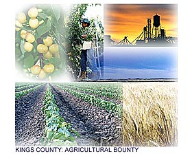 Kings County: Agricultural Bounty
