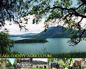 Lake County: Agriculture