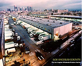 LA: City View