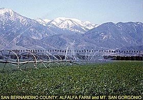 San Bernardino County: Alfalfa Farm