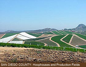 San Diego County: Prouction Fields