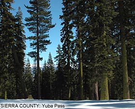 Sierra County: Yuba Pass