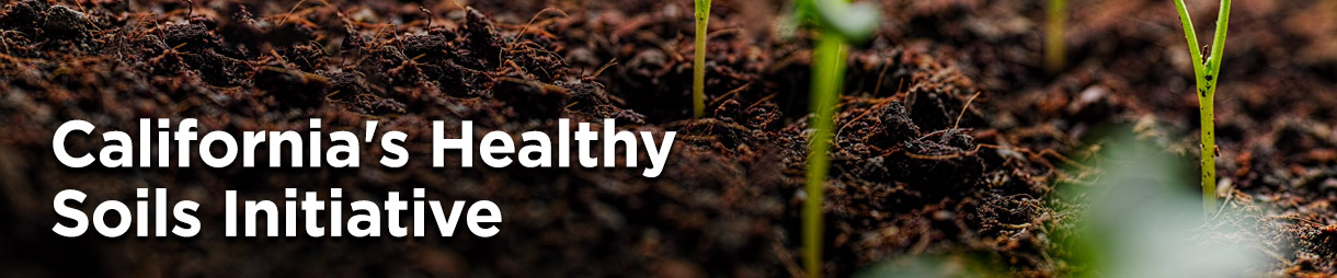 California's Healthy Soils Initiative