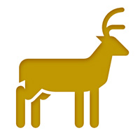 deer icon