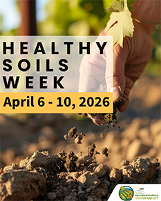 instagram 1080x1350 post1