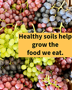 thumb instagram 1080x1350 post2b