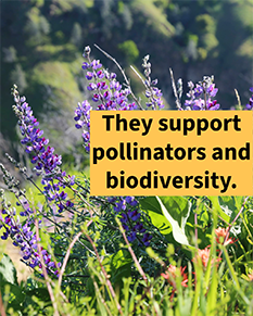 thumb instagram 1080x1350 post2d