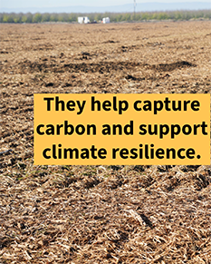 thumb instagram 1080x1350 post2e