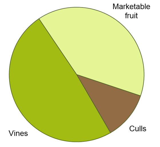 Nitrogen partitioning pie chart