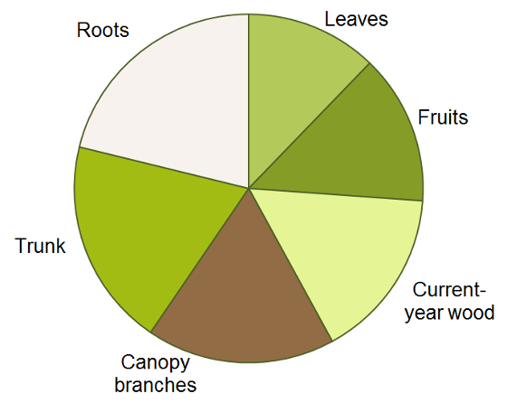 Nitrogen partitioning pie chart