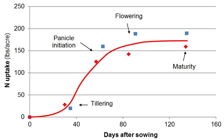 Season N Uptake Curve Graph