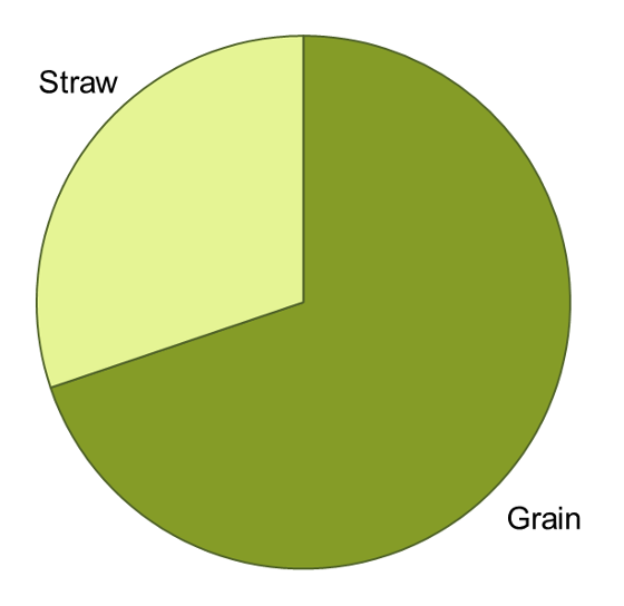 Nitrogen partitioning pie chart